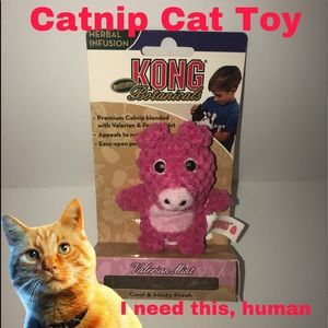 Cat Nip Toy Kong Brand Stuffed Pig